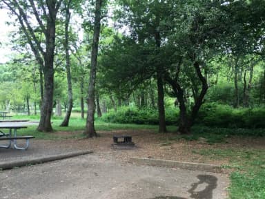 Campsite B120