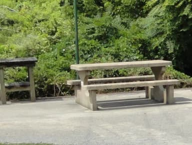 DALE HOLLOW DAMSITE #51 CONCRETE TABLE