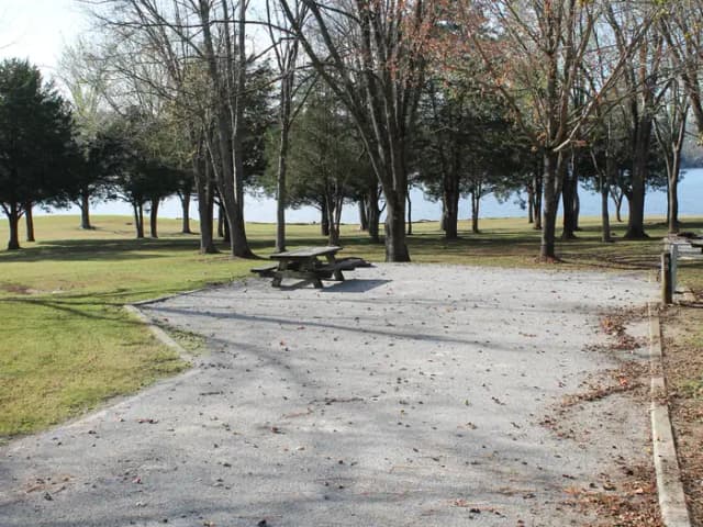 Site 66 Defeated Creek Campground