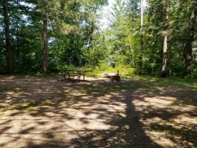 Site 001 at Black Lake