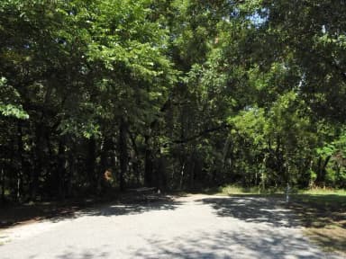Site 146 in Outlet Campground