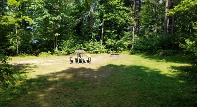 Site 002 at Black Lake
