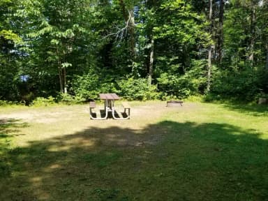 Site 002 at Black Lake
