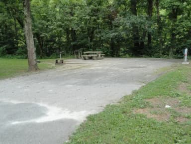 DALE HOLLOW DAMSITE #59 PREVIEW PHOTO