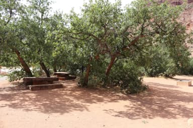 Big Bend Group Site A picnic tables set underneath large stands of shrub oak.