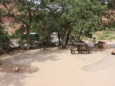 Big Bend Group Site B picnic table underneath shrub oak.