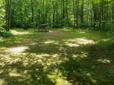 Site #11