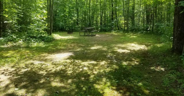 Site 011 at Black Lake