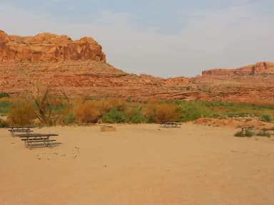 Gold Bar Group Site D picnic tables, fire rings, and a sandy, open area for tents. In the distance, vegetation lines the Colorado River with tall, red rock cliffs lining the horizon.