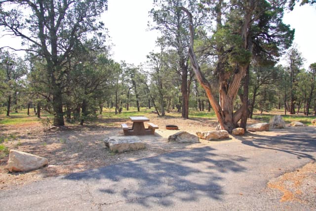 Picnic table, fire pit, and parking spot, Mather Campground