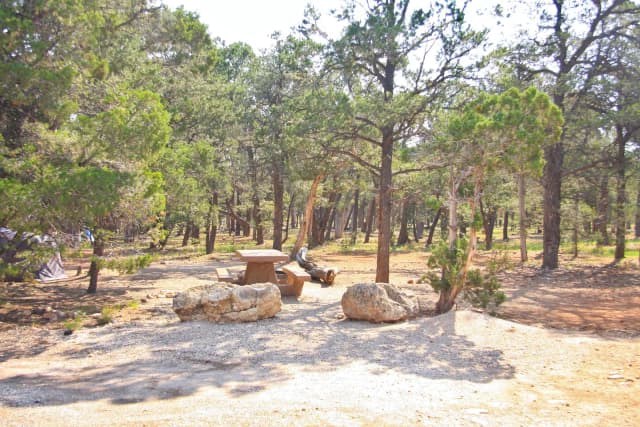 Picnic table, fire pit, and parking spot, Mather Campground