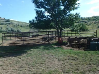 The four rectangular corrals at the site