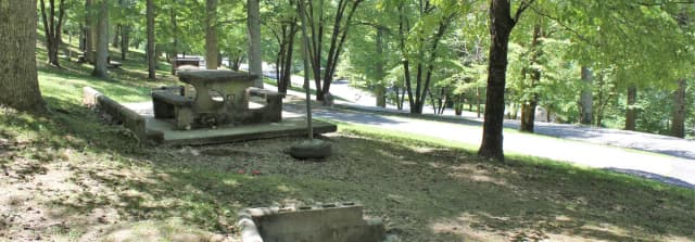 Site 49