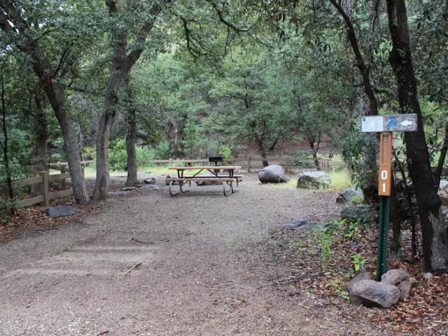 Campsite #1 is located next to Bonita Creek, which flows seasonally.