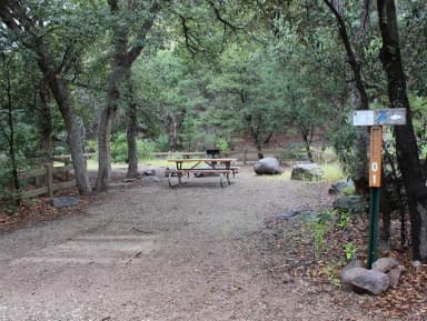 Campsite #1 is located next to Bonita Creek, which flows seasonally.