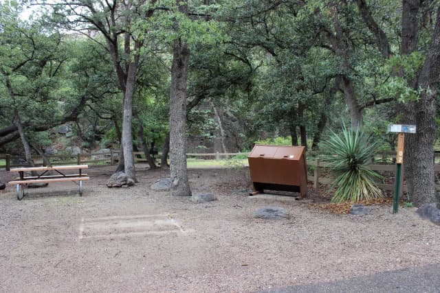 Campsite #2 is shorter and good for tents.