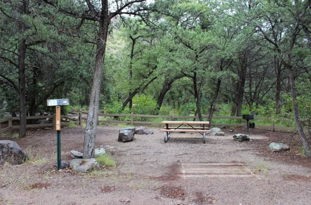 Campsite #5 is located on the inside of the loop.