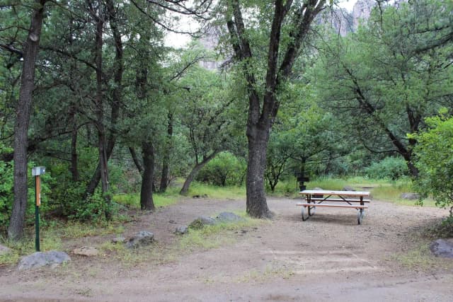 Campsite #6 has more privacy.