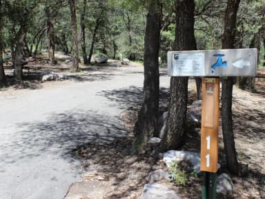 Campsite #11 is long and level so best for trailers and motorhomes.