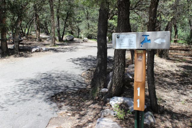Campsite #11 is long and level so best for trailers and motorhomes.