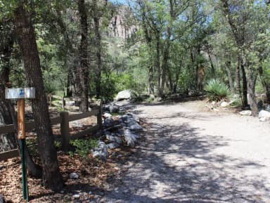 campsite with trees and gravel