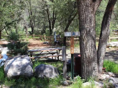 Volunteers have priority for campsite #17 and use of hookups.