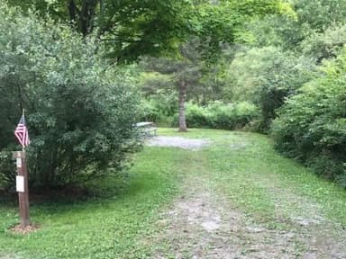 Loop 1 · Site 003 at Kellettville Recreation Area (PA)