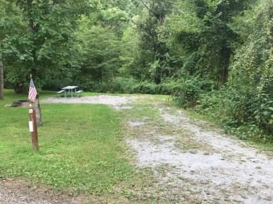 Loop 1 · Site 004 at Kellettville Recreation Area (PA)