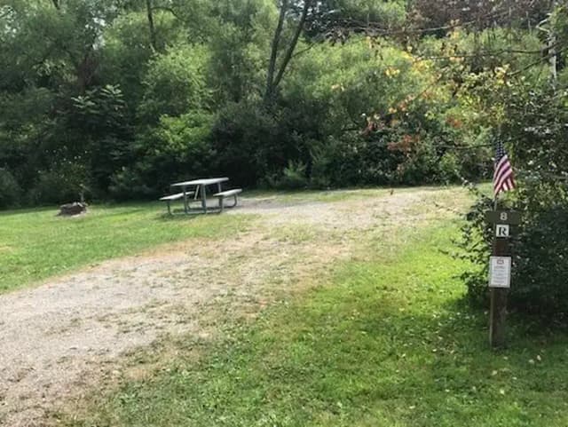 Loop 1 · Site 008 at Kellettville Recreation Area (PA)