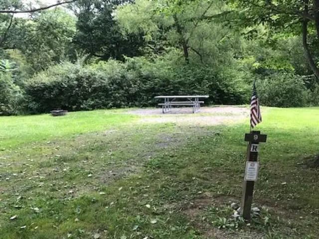 Loop 1 · Site 009 at Kellettville Recreation Area (PA)