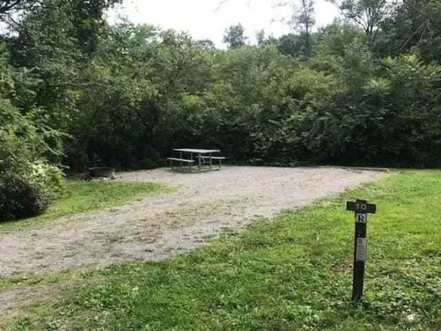 Loop 1 · Site 010 at Kellettville Recreation Area (PA)