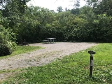 Loop 1 · Site 010 at Kellettville Recreation Area (PA)