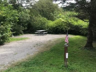 Loop 1 · Site 011 at Kellettville Recreation Area (PA)