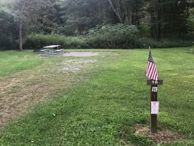 Loop 1 · Site 016 at Kellettville Recreation Area (PA)