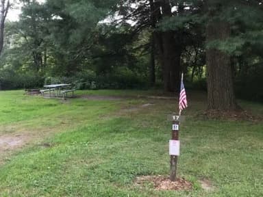 Loop 1 · Site 017 at Kellettville Recreation Area (PA)