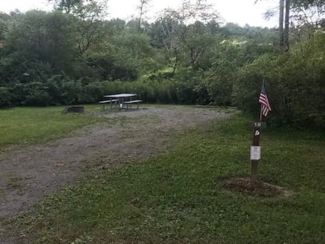Loop 1 · Site 018 at Kellettville Recreation Area (PA)