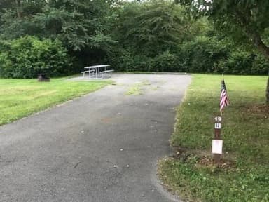 Loop 1 · Site 019 at Kellettville Recreation Area (PA)
