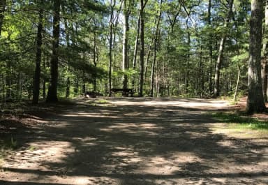 Loop A · Site 03 at West Thompson Lake Campground