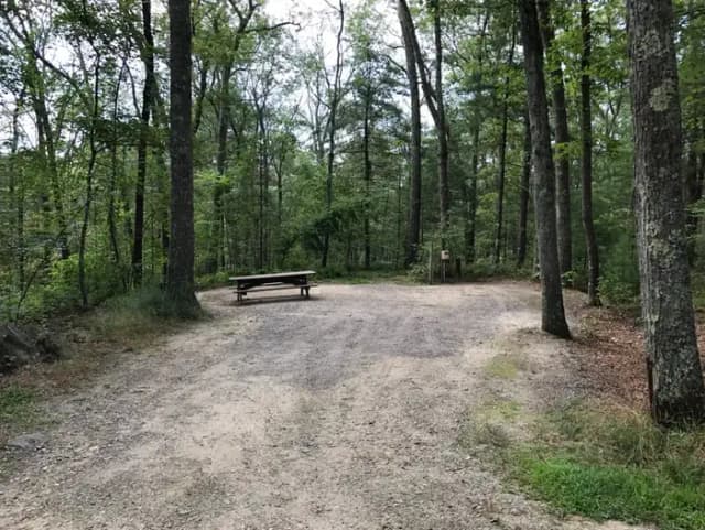 Loop A · Site 04 at West Thompson Lake Campground