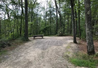 Loop A · Site 04 at West Thompson Lake Campground