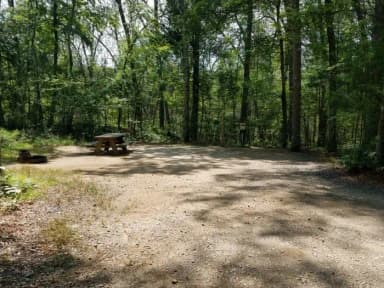 Loop A · Site 06 at West Thompson Lake Campground