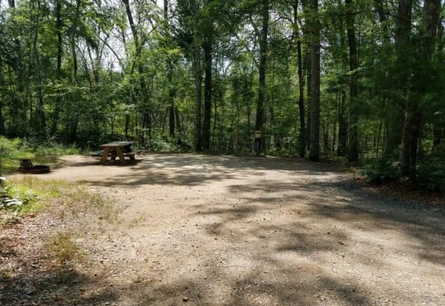 Loop A · Site 06 at West Thompson Lake Campground