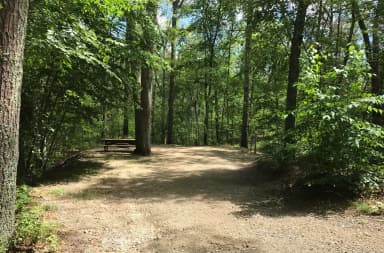 Loop A · Site 08 at West Thompson Lake Campground