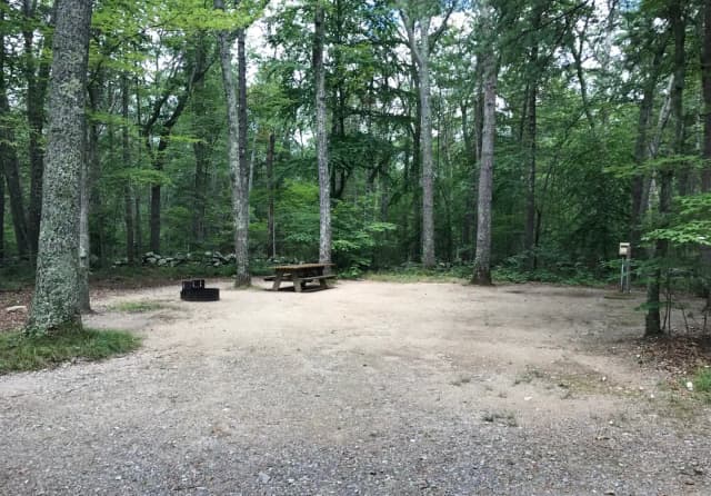 Loop A · Site 10 at West Thompson Lake Campground