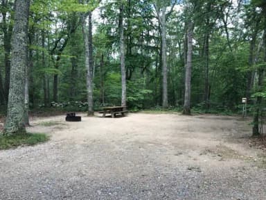 Loop A · Site 10 at West Thompson Lake Campground
