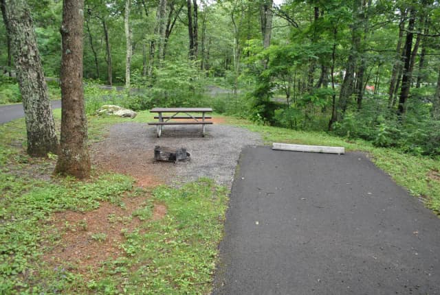 Mathews Arm Campground - Site B117