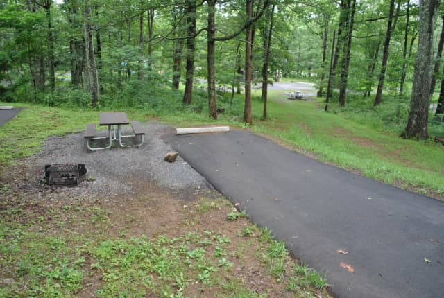 Mathews Arm Campground - Site B118