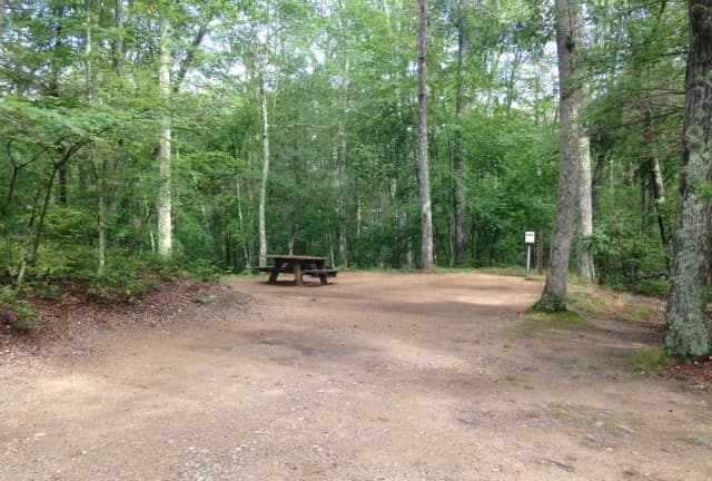 Loop A · Site 11 at West Thompson Lake Campground