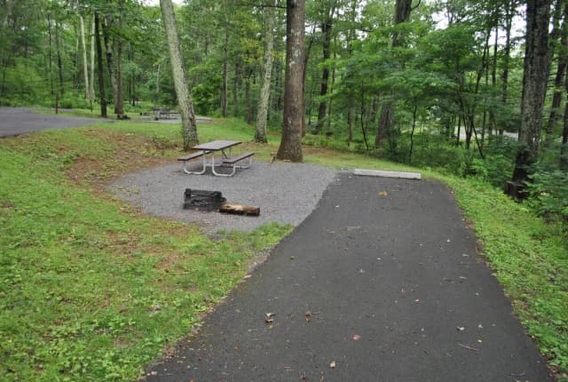 Mathews Arm Campground - Site B119