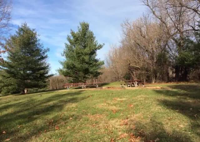 Site 2 with fire ring and picnic benches.